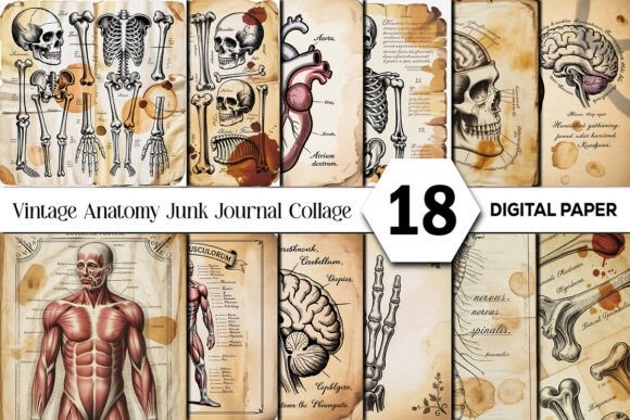 Vintage Anatomy Junk Journal Collage: A Designer's Secret Weapon
